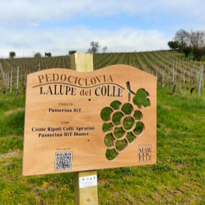 Cartello pedociclovia