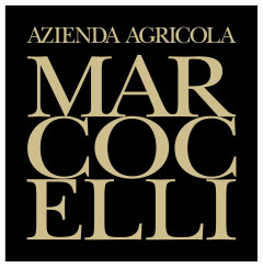 Marcocelli Logo